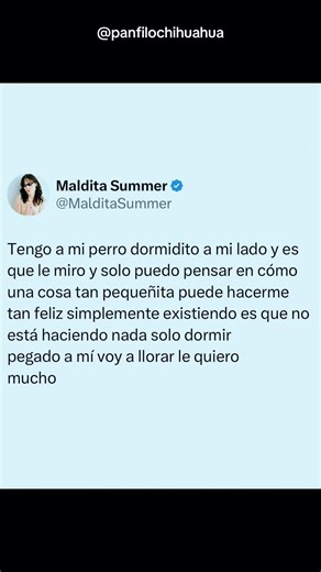 Un hermoso sentimiento #panfilo