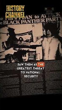 The Black Panther Party: From Revolution to Legacy – A Fight Against Injustice #history