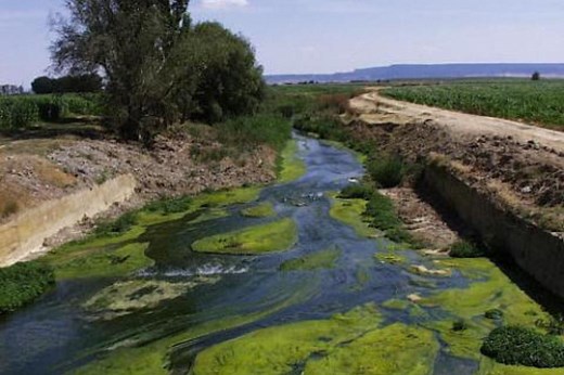 Qué es la eutrofización de las aguas: definición y características - ¡Descubre la respuesta!