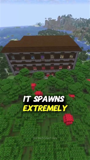 Minecraft's Rarest Structure...