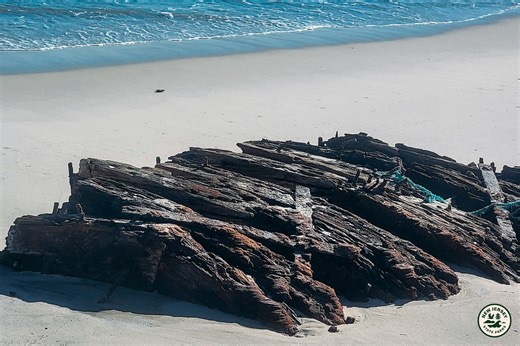 136-year-old shipwreck discovered at N.J.’s Island Beach State Park