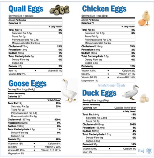 Egg comparisons | Farming Tech& Business