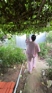 Linh Lyo Trở lại Phim Trường Tủn Cùi Bắp sau 1 tháng về quê chăm Đậu Đậu | Linh Lyo TV