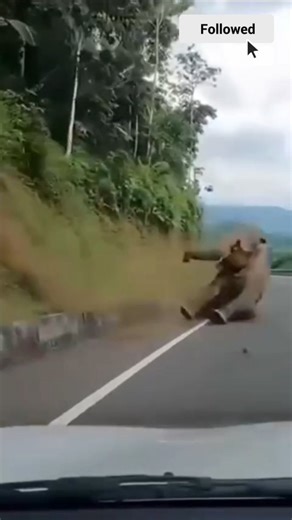 Jobpocket.ae on Instagram: "Job opportunity in Ras Al Khaimah for Data Entry Clerk in retail/hypermarket sector. Apply now if you have strong Excel skills, ERP knowledge, and accuracy in data management. Data Entry Clerk UAE, Ras Al Khaimah jobs, retail data entry jobs, hypermarket careers UAE, UAE job vacancy 2025, data entry hiring UAE, Emirates Markets jobs, inventory data entry, ERP data entry jobs, MS Excel jobs UAE, data entry vacancy Ras Al Khaimah. #DataEntryJobs #RAKJobs #UAEJobs2025 #G