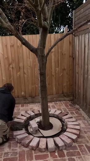 51K views · 286 reactions | garden bed around tree #diyprojects #diyhomedecor #garden #landscaping #doityourself #gardenideas #diy #diycrafts #gardendesign #diyvideos #diyideas #diyproject | Yahole 29 | Facebook