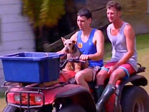 Queer Nation - Farm Boys | Television | NZ On Screen