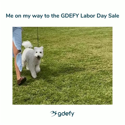 Labor Day is coming up, and GDEFY Shoes are on sale! Run to the nearest store before stocks get sold out. Grab a pair now before they’re gone forever! Shop now! | Gravity Defyer