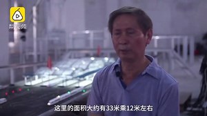 848 reactions · 144 shares | Multi-track platforms, professional...