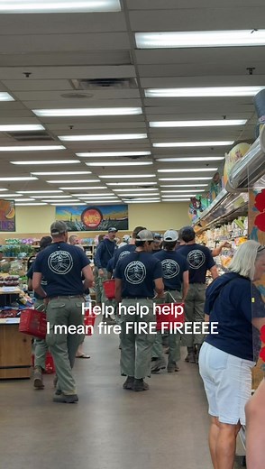 Lost Kitten Rescued from Fire by Firefighters