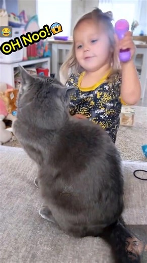 Best Funniest Cat and Kids Moments 🤣 #funny #cat #funnyvideo #cats