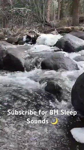 Rocky Mountain river flow in Colorado 🌊