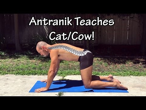 Cat Cow Part 1: How to do Cat/Cow in two different ways with Antranik