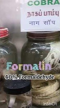 Chemistry in everyday life Topic 1| Storage of biological specimens