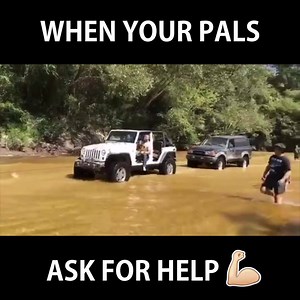 25K views · 949 reactions | Dogs = a Jeeps best friend  | JP Extreme | Facebook