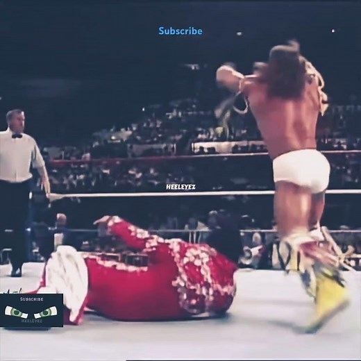 1988 WWE Summerslam Ultimate Warrior vs Honky Tonk Man #wwe #wrestlingbios #wrestlingwithwregret