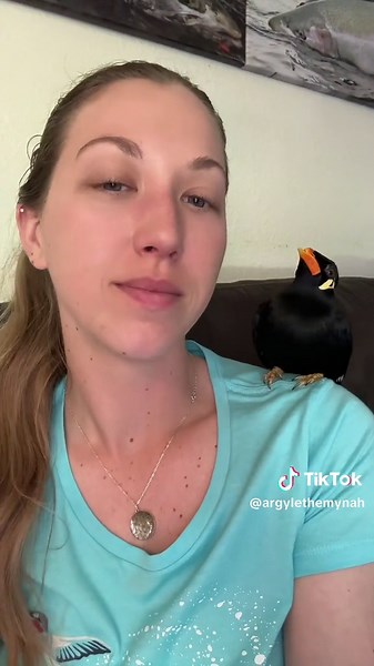Funny Talking Bird Video - All WTF’s, No WAH’s Today 😅