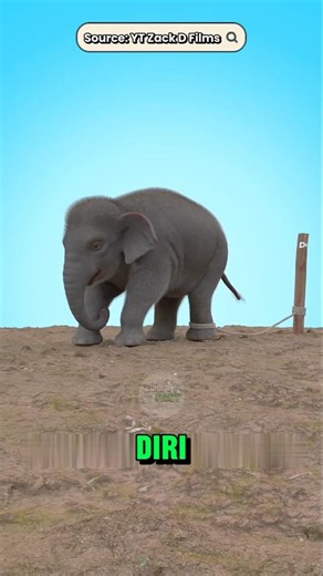 GAJAH diikat‼️😨