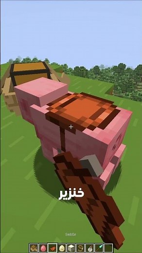أفضل طريقة تنقل