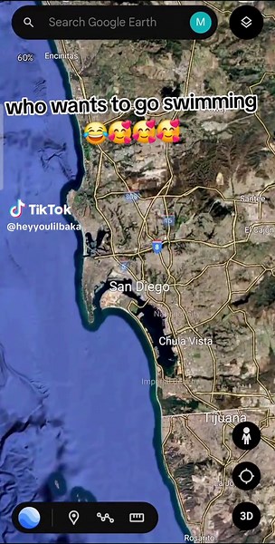 Learn Swimming Techniques with Carti's Vibes