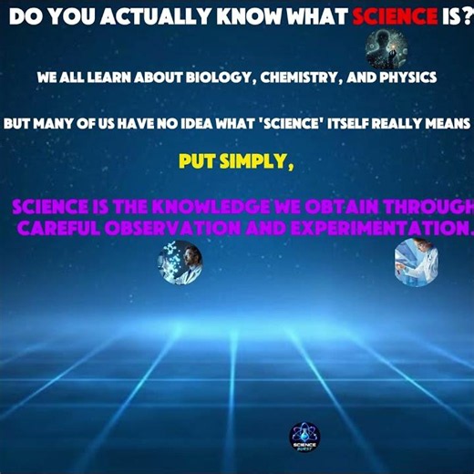 The real meaning of science