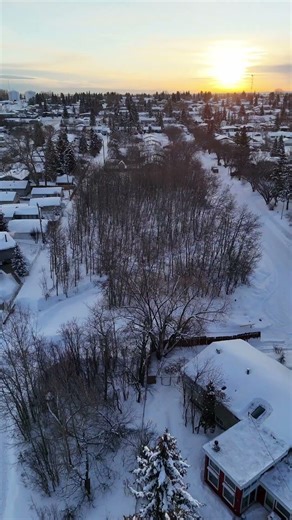 Sunrise Drone Flight Over the Trees | Grande Prairie Alberta