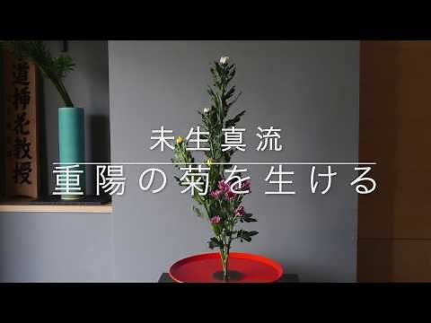 重陽の菊の生け方