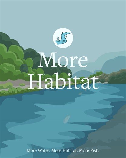 More habitat in the Tuolumne River. The Tuolumne River’s Healthy Rivers and Landscapes plan improves habitat for fish in the Tuolumne River, including the addition of 70 acres of new floodplain habitat. More Water. More Habitat. More Fish. Learn more about our plan at TuolumneRiverPartners.com/HRL. | Turlock Irrigation District