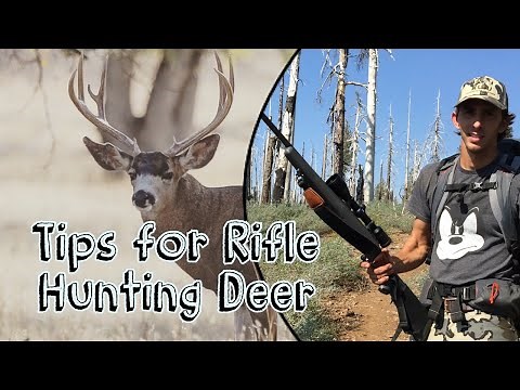 HOW TO RIFLE HUNT Deer in California! Tips for a successful rifle hunting season || CACCIA OUTDOORS