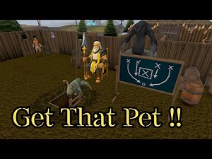 Going for the Barbarian Assault Pet LIVE! Can We Finally Get It?! 🧡