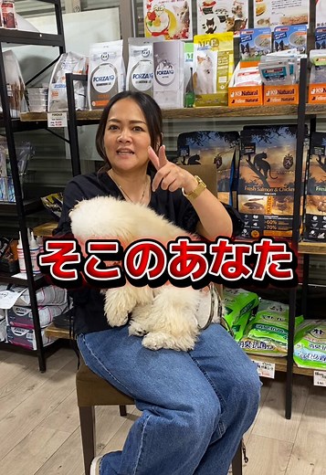 フィラリアの薬とその効果について