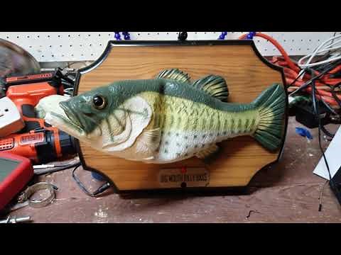 Billy Bass with built-in Alexa