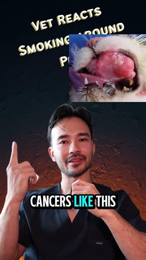 Why smoking around pets is bad (this should be obvious)