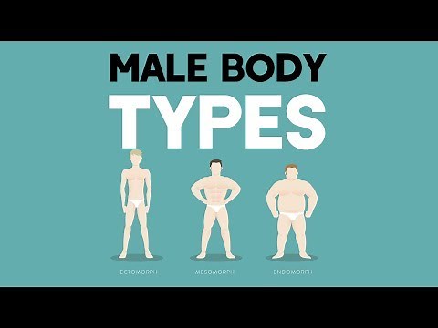 Male Body Types: Different Somatotypes