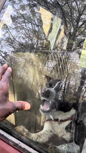 See how my onetime pet, Dean Corburn, abruptly becomes violent. Blood is visible, possibly stemming from the integration of Twelve Gauge into the situation. | Max Ross