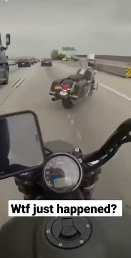 if you catch it, it's yours!