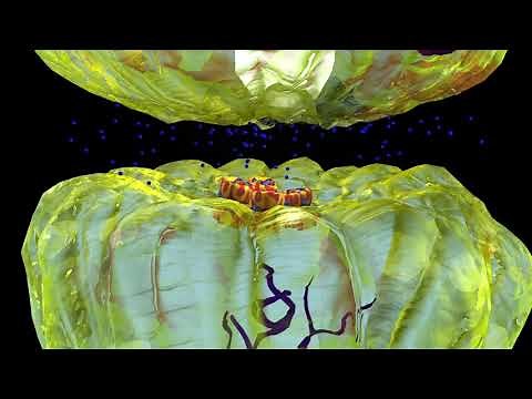 Propofol for General Anesthesia during surgery