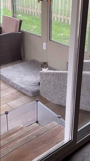 Mikey is watching to make sure you don’t forget to order his plushie! 👀Link in bio…