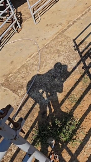 Hello men 🙈🙈🙈 | Ella Anderson