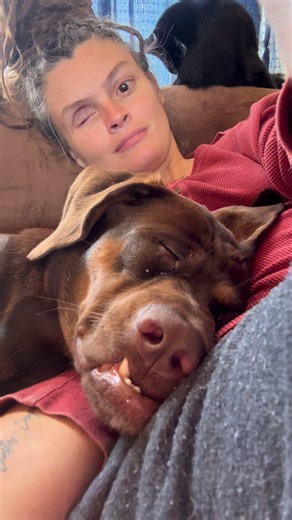 It’s my birthday today. I’m staying in my pajamas until my appt at 4pm, and just going to cuddle this snoozing baby today💕 Donations to Sweetpea’s medical fund would make my heart so happy today! PayPal @livinlikelarryfs CashApp $livinlikelarryfs Zelle 740)656-6655 Or you can subscribe to our sanctuary’s facebook page ( link in comments!) Thanks everyone for the birthday wishes!! | Livin’ Like Larry Farm Sanctuary