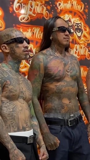 Locs (@locs_sunglasses)’s videos with original sound - Locs