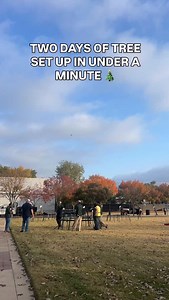 2.3K views · 247 reactions | Our Downtown Rowlett Christmas tree is set up and all ready to be lit on Dec. 6 during our Holiday Main Street parade and festival! We better see you there!! | City of Rowlett, Texas | Facebook