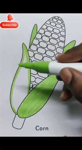 Maize (Corn) Coloring Page for Kids | Easy Corn Drawing for Coloring