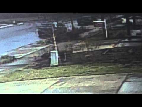 Pit Bull Attack Caught On Camera, Victim Tells Her Story