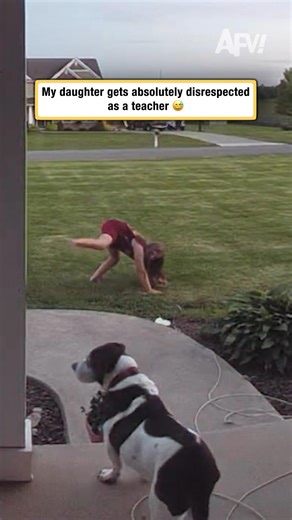 America's Funniest Home Videos | Aaaaaand that's detention for the dog 🐶 #afv #dogs #funnyvideos | Instagram