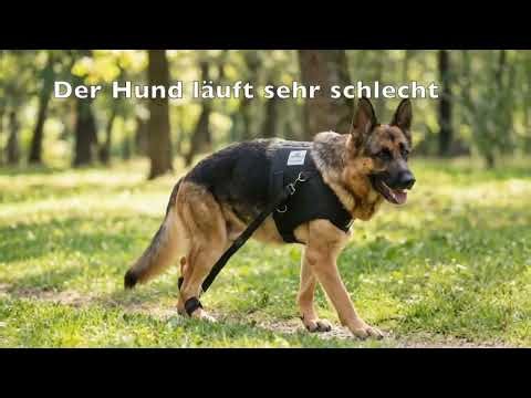 Hundeexpander Flexipander von Nature Pet