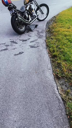 Southerncustomcycles (@southerncustomcycles)’s videos with If Your Gonna Be Dumb, You Gotta Be Tough - Roger Alan Wade