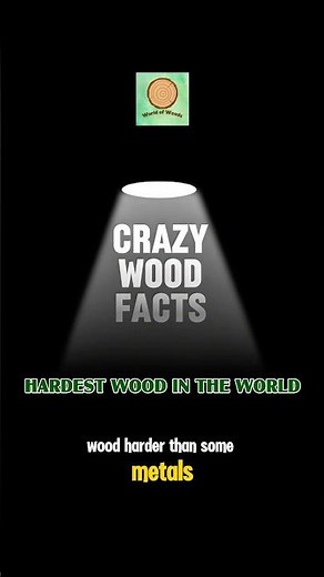 The Hardest Wood in the World 😳 | Wood Facts ~1