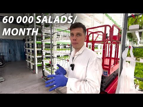 Visiting a Giant Vertical Farm in Norway