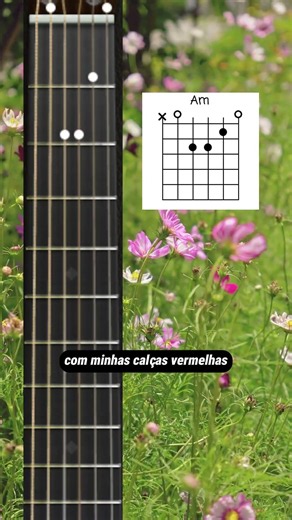 Vapor Barato O Rappa