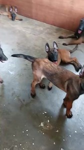 Throwback Thursday Sleep command at 3 months | Mimi Garcia-Martillano